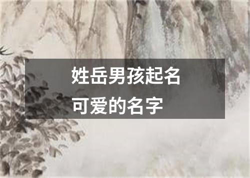 姓岳男孩起名可爱的名字