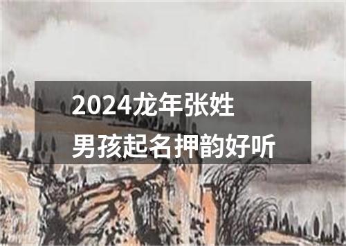 2024龙年张姓男孩起名押韵好听