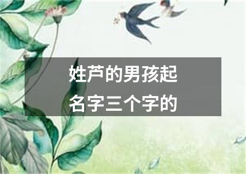 姓芦的男孩起名字三个字的