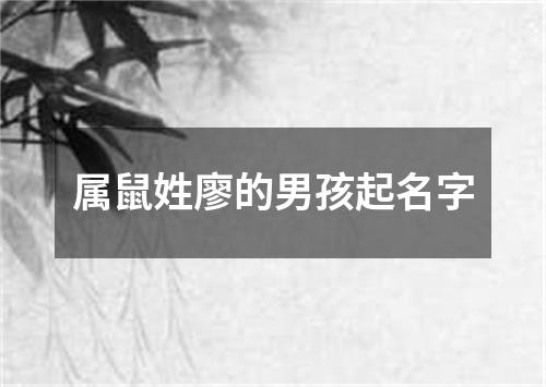 属鼠姓廖的男孩起名字