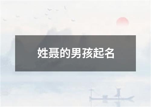 姓聂的男孩起名