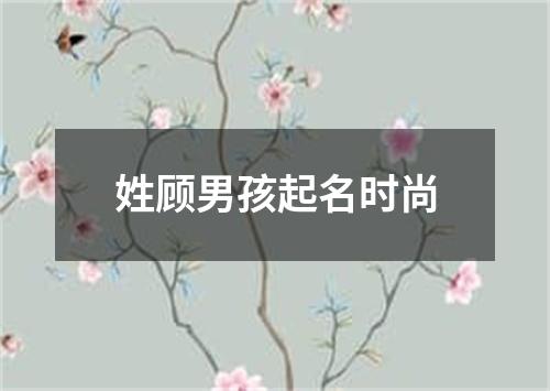 姓顾男孩起名时尚