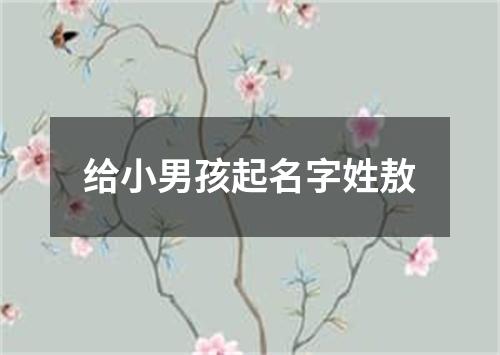 给小男孩起名字姓敖