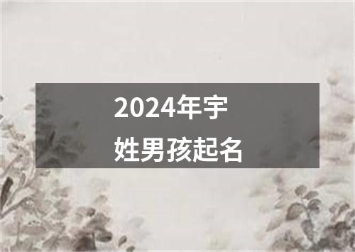 2024年宇姓男孩起名