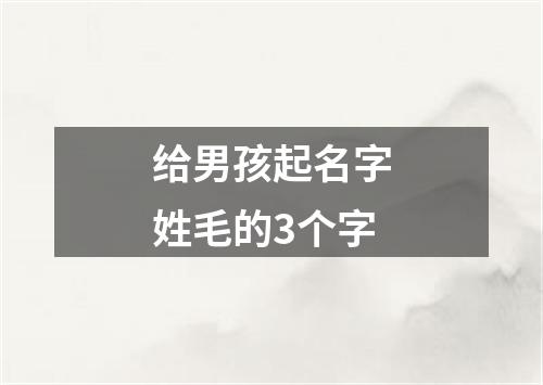 给男孩起名字姓毛的3个字