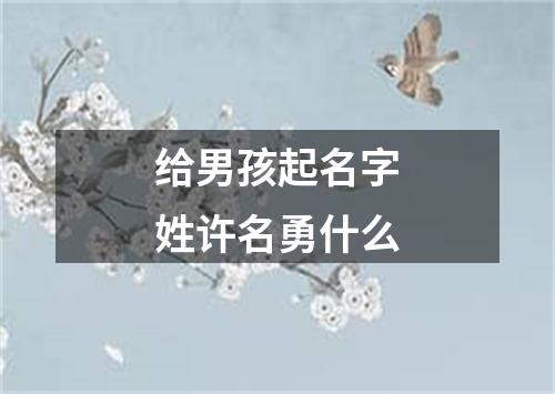 给男孩起名字姓许名勇什么