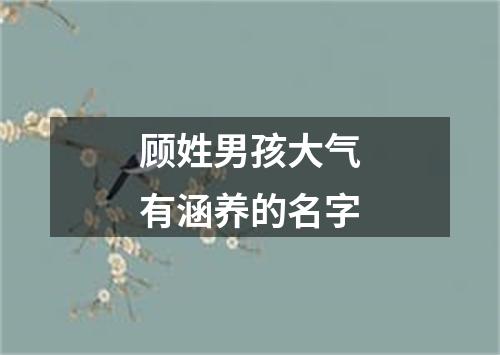 顾姓男孩大气有涵养的名字