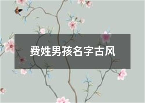 费姓男孩名字古风