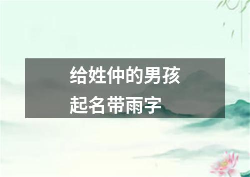 给姓仲的男孩起名带雨字