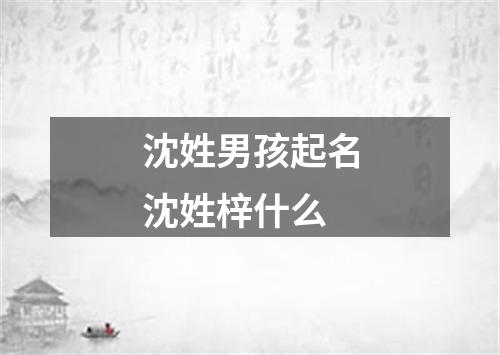 沈姓男孩起名沈姓梓什么