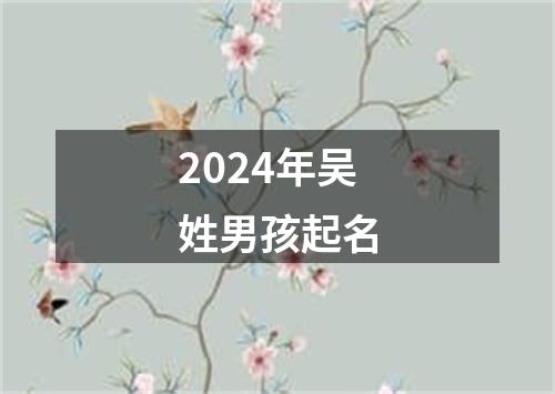 2024年吴姓男孩起名