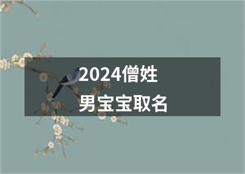 2024僧姓男宝宝取名