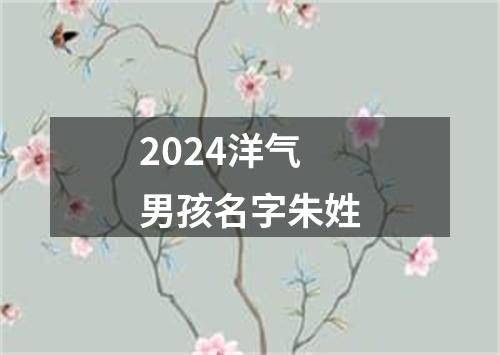 2024洋气男孩名字朱姓