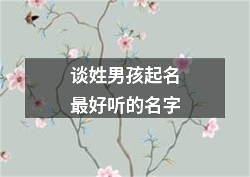 谈姓男孩起名最好听的名字