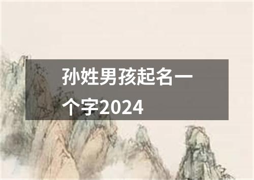 孙姓男孩起名一个字2024