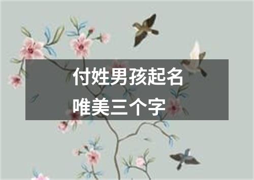 付姓男孩起名唯美三个字