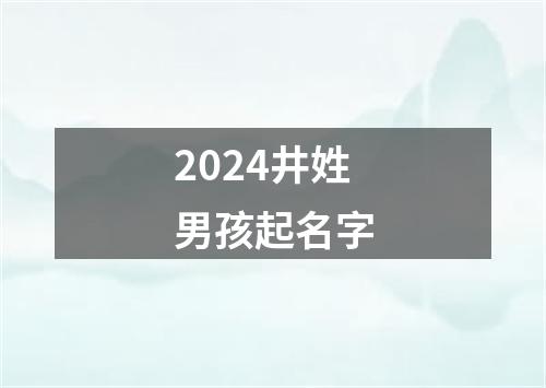 2024井姓男孩起名字