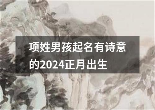 项姓男孩起名有诗意的2024正月出生