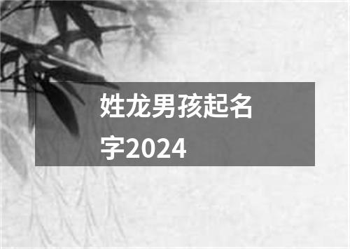 姓龙男孩起名字2024