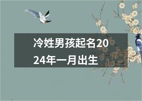 冷姓男孩起名2024年一月出生