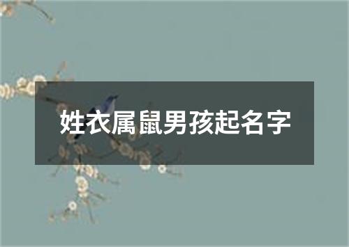 姓衣属鼠男孩起名字