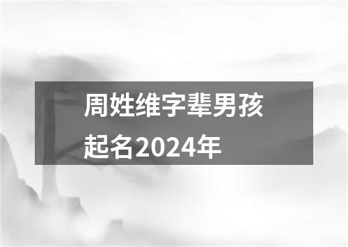 周姓维字辈男孩起名2024年