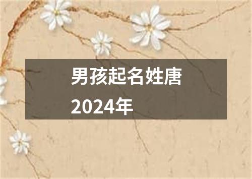 男孩起名姓唐2024年