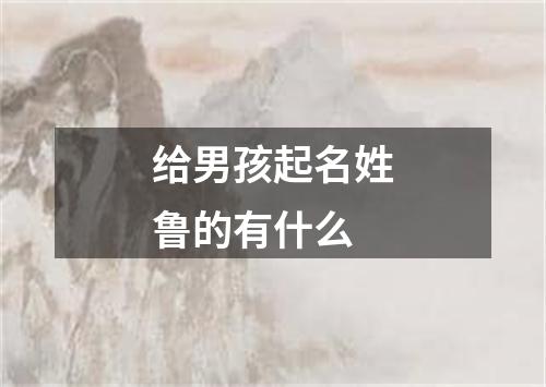 给男孩起名姓鲁的有什么