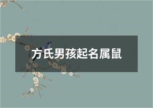 方氏男孩起名属鼠