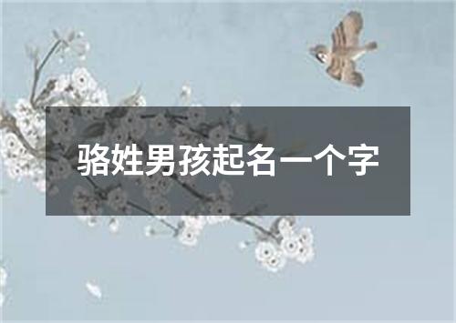 骆姓男孩起名一个字