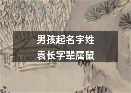 男孩起名字姓袁长字辈属鼠