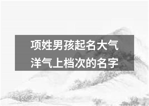 项姓男孩起名大气洋气上档次的名字