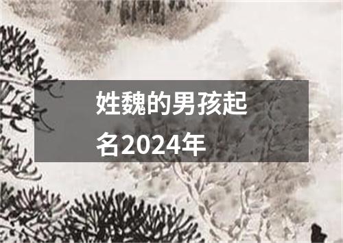 姓魏的男孩起名2024年