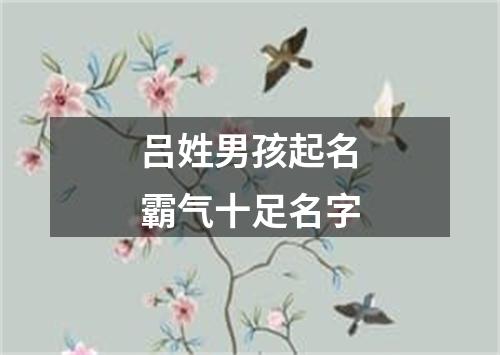 吕姓男孩起名霸气十足名字