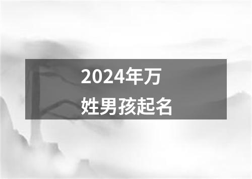 2024年万姓男孩起名