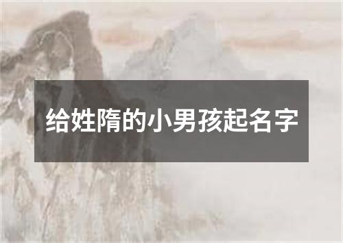 给姓隋的小男孩起名字