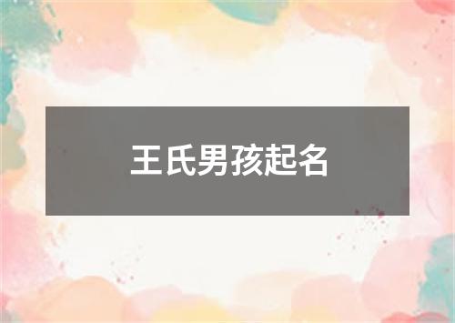 王氏男孩起名