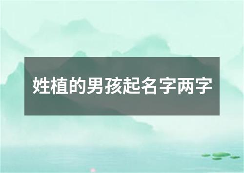 姓植的男孩起名字两字