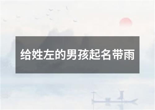 给姓左的男孩起名带雨