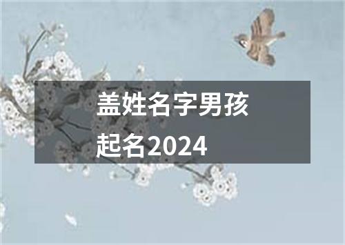 盖姓名字男孩起名2024