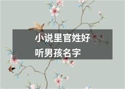 小说里官姓好听男孩名字