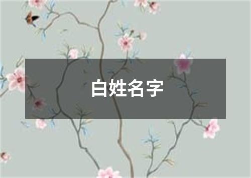 白姓名字