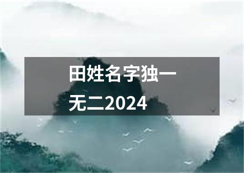 田姓名字独一无二2024