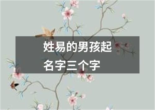 姓易的男孩起名字三个字