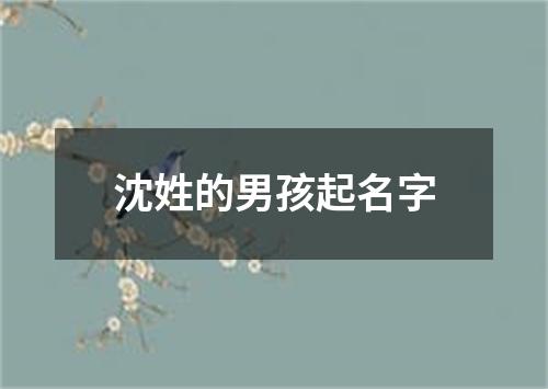 沈姓的男孩起名字