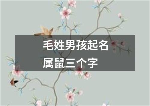 毛姓男孩起名属鼠三个字