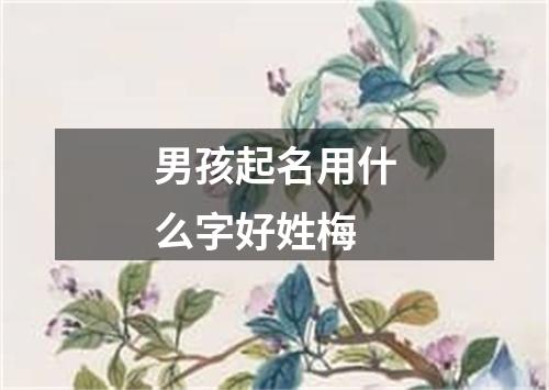 男孩起名用什么字好姓梅