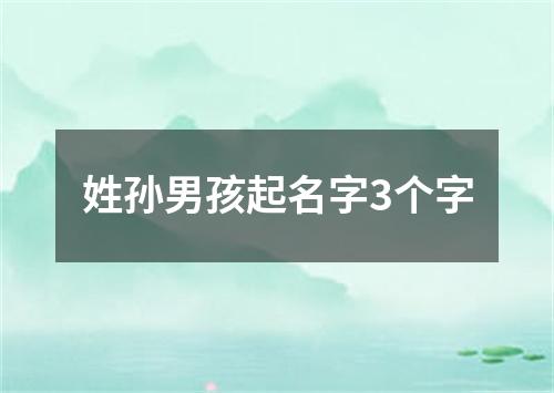 姓孙男孩起名字3个字