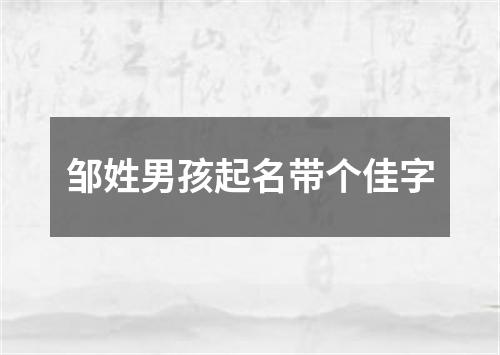 邹姓男孩起名带个佳字