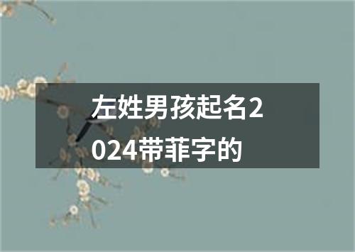 左姓男孩起名2024带菲字的